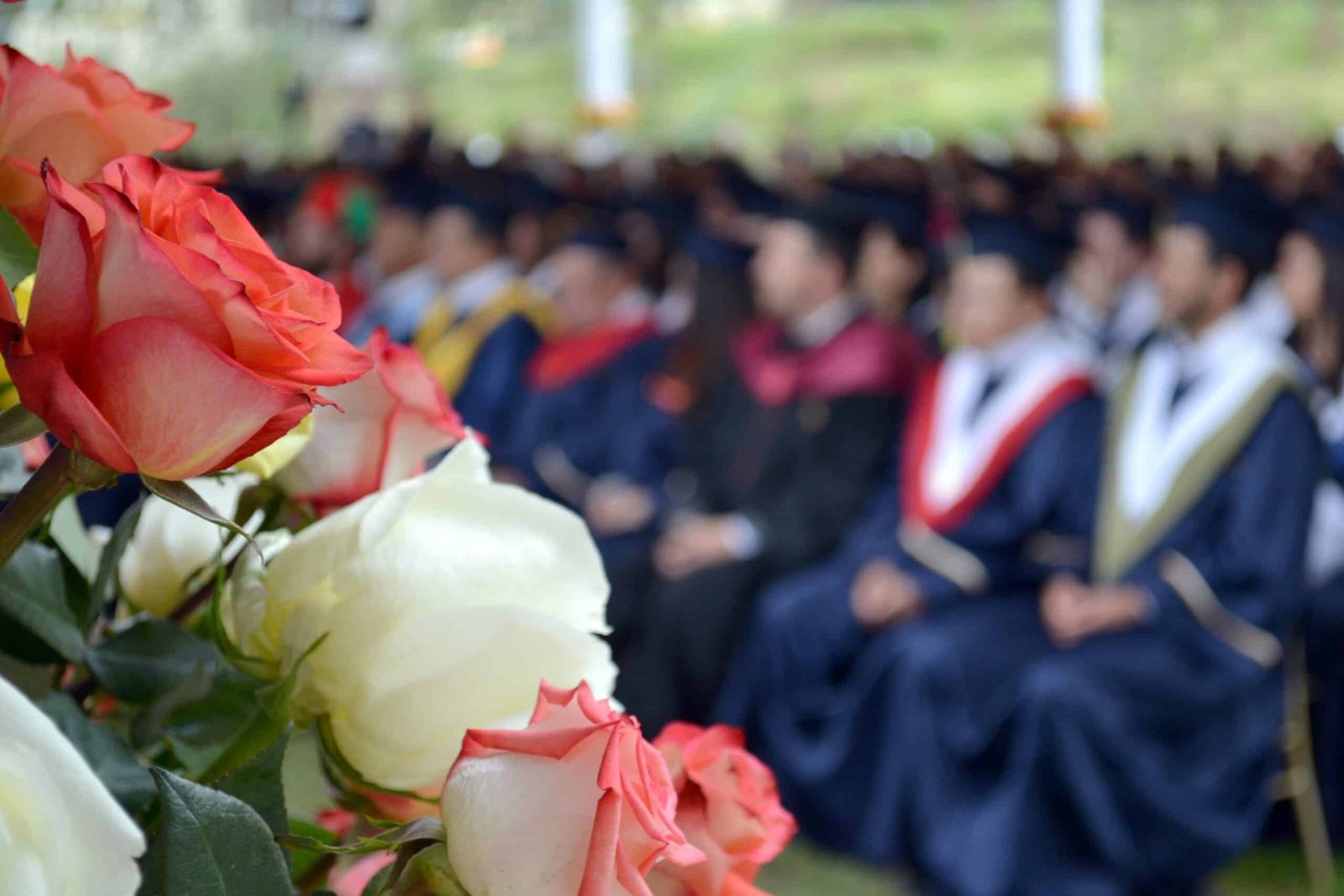 Image shows a graduation celebration, with a closeup of a bouquet of roses with rows of graduates in cap and gown in the background. This is the header image for academic coaching for graduate student success.