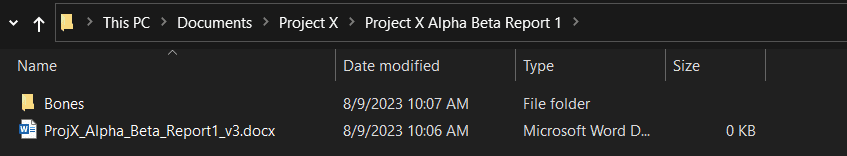 Image of document version control bones folder example.